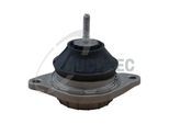 TRUCKTEC AUTOMOTIVE Lagerung, Motor 0720017 beidseitig für VAG