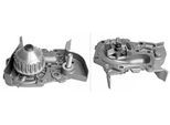 INA Wasserpumpe 538002210 für DACIA