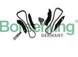 BORSEHUNG Steuerkettensatz b10202 für BMW