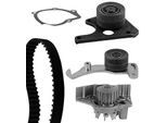 METELLI Wasserpumpe + Zahnriemensatz 3009111 für Peugeot Fiat Citroën FSO HYUNDAI TALBOT LADA ROVER Suzuki TATA