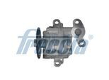 FRECCIA Ölpumpe op09117 für Ford LAND ROVER Citroën Fiat Peugeot