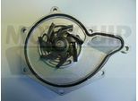 MOTAQUIP Wasserpumpe vwp852 für VW Porsche Audi