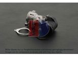 AKS DASIS AGR-Ventil 065012n für Citroën/Peugeot Ford Volvo ALFAROME/Fiat/LANCI