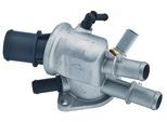 FACET Thermostat, Kühlmittel 78181 für LANCIA