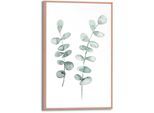 Poster REINDERS "Eukalyptus", grün (farbe bild(er): grün), B:20cm H:30cm T:1,6cm, MDF, Bilder, Poster