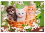 Wandbild ARTLAND "Katzen sitzen in einem Korb", grün (farbe bild(er): grün), B:100cm H:70cm, Bilder, als Leinwandbild, Poster in verschied. Größen