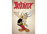 Leinwandbild LUCKYLINDE "Asterix", bunt (farbe bild(er): bunt), B:40cm H:60cm T:3cm, Holz, Leinwand, Bilder, Leinwandbild, Canvasbild Wanddeko Bild zum Film "Kampf der Häuptlinge"