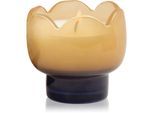 Paddywax Tulip Garden & Grove geurkaars 155 g