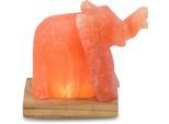 WAGNER LIFE DESIGN Salzkristall-Tischlampe "Elefant", orange, Ø 7cm H: 11cm, 1 Stk., Leuchten, Handgefertigt aus Salzkristall - jeder Stein ein Unikat, H: ca.11 cm