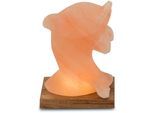 WAGNER LIFE DESIGN Salzkristall-Tischlampe "Delfin", orange, Ø 7cm H: 15cm, 1 Stk., Leuchten, Handgefertigt aus Salzkristall - jeder Stein ein Unikat, H: ca.15 cm