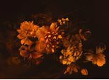 Fototapete LIVING WALLS "Designwalls Blossom Variety 2", orange (orange, schwarz), B:3,5m L:2,55m, Vlies, Tapeten, Vlies, Wand, Schräge, Decke