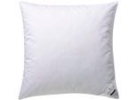 Federkissen BILLERBECK "Erina 15, Kissen ist Allergiker freundlich (Hausstauballergiker)", weiß, B:80cm L:80cm, Bezug: 100% Baumwolle. Füllung: 85% Federn, 15% Daunen, Kopfkissen, Das stützende Daunenkissen
