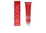 Igora Royal 6-99 60 ml