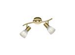 TRIO LEUCHTEN LED Deckenstrahler "LEVISTO", grau (messingfarben), 2, Ø 33cm, Leuchten, LED Deckenleuchte, LED Deckenlampe, LED Deckenstrahler