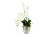 Kunstblume I.GE.A. "Arrangement Orchidee/Gras", beige (creme), B:25cm H:60cm L:16cm, Kunstpflanzen, Kunstblume, Topf aus Keramik