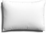 Kissenbezug SCHLAFGUT "EASY JERSEY Kissenhülle 100% Baumwolle, weicher Edel-Jersey, bügelfrei", weiß (full, weiß), B:40cm L:60cm, Jersey, Obermaterial: 100% Baumwolle, Kissenbezüge, Kissenbezug, mit farblich angepasstem Reißverschluss, pflegeleicht, formstabil