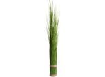 Kunstgras BOTANIC-HAUS "Grasarrangement selbststehend", grün, B:13cm H:120cm T:13cm Ø:13cm, Kunststoff, Kunstpflanzen, Kunstgras