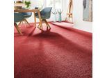 Teppichboden ANDIAMO "Verona, Velours, Gesamthöhe 6 mm, Luxusklasse LC2", rot, B:400cm L:500cm, Kunstfaser, Teppiche, Uni Farben, Breite 400 cm oder 500 cm, strapazierfähig, pflegeleicht
