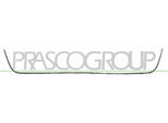 PRASCO Lüftungsgitter, Stoßfänger vg1012305 vorne für VW