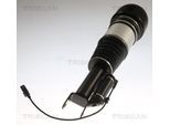 TRISCAN Luftfederbein 872023105 für Mercedes