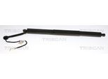TRISCAN Gasfeder, Koffer-/Laderaum 871011308 für BMW