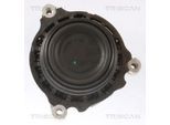 TRISCAN Lagerung, Motor 850511108 für BMW