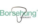 BORSEHUNG Steuerkette b12766 für VW