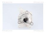 TRISCAN Wasserpumpe 860014023 für RENAULT