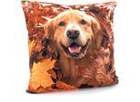Dekokissen WECKBRODT "Golden Retriever" Gr. 1, bunt (multi, gemustert), B:40cm L:40cm, Obermaterial: 100% Polyester, Dekokissen_Sitzkissen_Kissenhüllen
