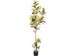 Künstliche Zimmerpflanze CREATIV GREEN "Croton", grün, H:200cm, Kunstpflanzen, Künstliche Zimmerpflanze, mit außergewöhnlichem Blattwerk