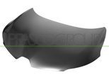 PRASCO Motorhaube rn7503100 für RENAULT