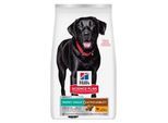 Hill's Science Plan Trockenfutter Hund, Perfect Weight & Active Mobility, Large Breed Adult, mit Huhn 12 kg