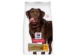Hill's Science Plan Trockenfutter Hund, Healthy Mobility, Large Breed Adult, mit Huhn 14 kg