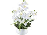 Kunstorchidee CREATIV GREEN "Orchidee Phalaenopsis", weiß, H:55cm, Kunststoff, Kunstpflanzen, Kunstorchidee, mit Farnzweigen