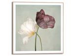 Poster REINDERS "Tulips", grün (farbe bild(er): grün), B:50cm H:50cm T:1,6cm, Bilder, Poster, Wohnzimmer - Grün - MDF - Blumen und Pflanzen - 50x50 cm