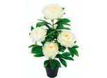 Kunstblume I.GE.A. "Päonie", weiß, B:30cm H:54cm L:30cm, Obermaterial: 90% Polyester, 10% Kunststoff, Kunstpflanzen, Kunstblume, Seidenblumen