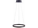 PAUL NEUHAUS Pendelleuchte "TITUS", grau (anthrazit), 1, Ø 40cm, 1 Stk., Leuchten, LED, dimmbar, Simply Dim, Memory, nach Trennung vom Netz, Pendelleuchte