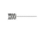 PFERD TOOLS Innenbürste IBU Ø19x25 mm Schaft-Ø3,2 mm Edelstahl-Draht-Ø0,12 (43679682)
