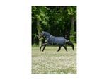 Bucas Winterdecke Oasis Turnout 200 g 1,55 m