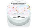 Kringle Candle Warm Cotton theelichtje 42 g
