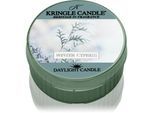 Kringle Candle Winter Cypress theelichtje 42 g