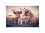 Bild Posterjunkie-15-148x98-Rvs-Mko