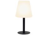 Solarleuchte Giu Weiss Max. 4 Watt