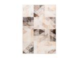 Teppich Saphira 900 Grau / Beige 80/150 cm