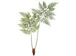 Kunstpflanze Dyropteris Ii In Grün Ca. 150cm 150 cm