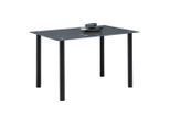 Esstisch Simon In Grau/schwarz Metall, Glas 120/76/80 cm
