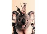 Bild Posterjunkie-21-98x148-Dbw-Mko