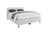 Boxbett Livetto Hellgrau Ca. 160x200cm 160/200 cm Beige