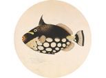 Metallbild Fish Black