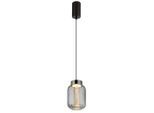 Led-hängeleuchte Fluoro Klar/chromfarben Max.8 Watt 15/150 cm